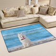 thumbnail image 2 of Coolnut Lightweight Soft Area Rugs 60x39 inch, White Dog Samoyed Sitting On The Beach Floor Mat for Kids Playing Room Hardwood Floor Living Room Nursery Rugs, 2 of 6