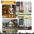 thumbnail image 3 of Cixusio 7.9ft/240cm Halloween Giant Skeleton Poseable Large Full Body Skeleton with Movable Joints for Indoor Outdoor Halloween Decor, 3 of 16