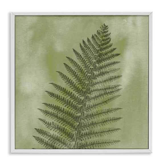 Stupell Industries Farmhouse Wild Nature Fern Leaf White Framed Giclee Art, 12 x 12, by Ziwei Li
