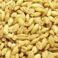 thumbnail image 1 of Organic Hulled Barley, 1 of 1