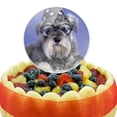 thumbnail image 5 of Acrylic Schnauzer Puppy Dog Wizard Glasses Spell Book Cake Topper Party Decoration for Wedding Anniversary Birthday Graduation, 5 of 7