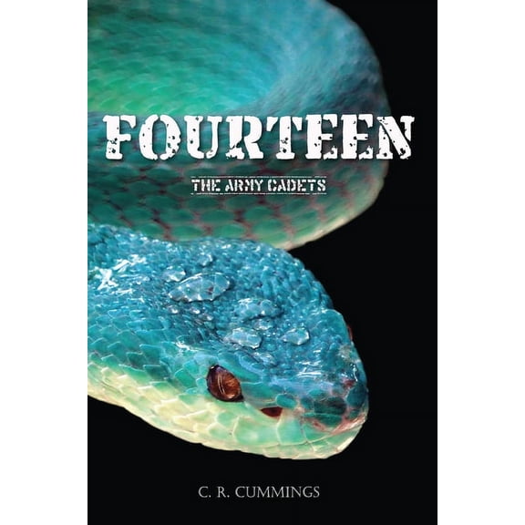 The Army Cadets: Fourteen (Paperback)