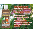 thumbnail image 2 of Shampoo VivoNatural con Extracto de Tepezcohuite de 1 litro, 2 of 3