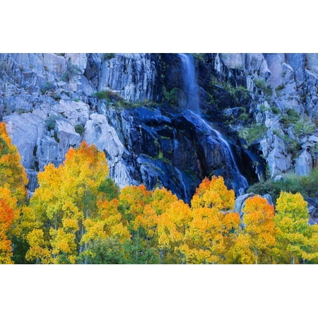 Fall Color and Waterfall Bishop Creek Canyon Eastern Sierras California Print Wall Art By Vincent