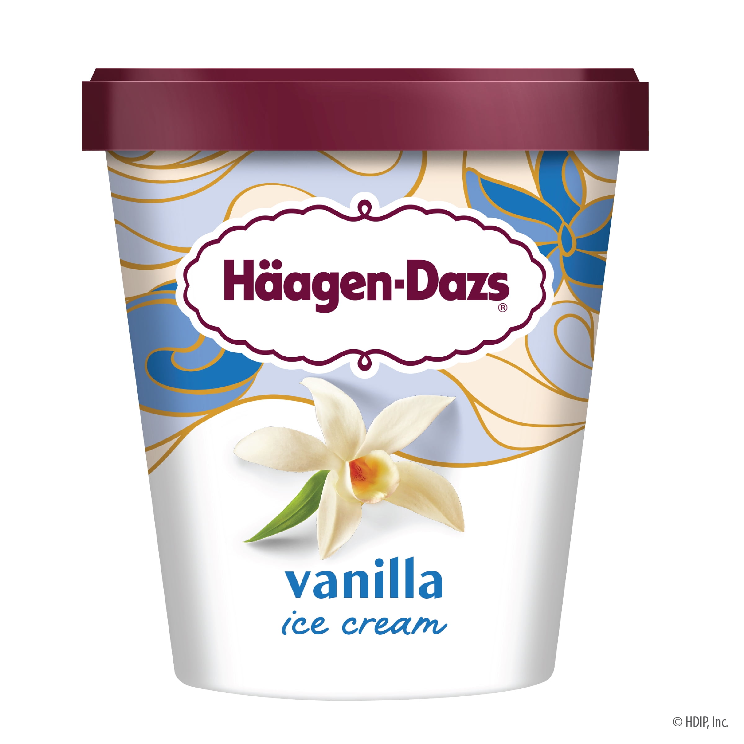 Indulge In Decadent Delight: Haagen-Dazs Vanilla Chocolate Chip Ice Cream