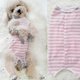 thumbnail image 5 of Traje de recuperación para perros, camiseta posoperatoria compatible con cachorros, ropa protectora de heridas compatible con mascotas, forma 1, XS, 5 of 5