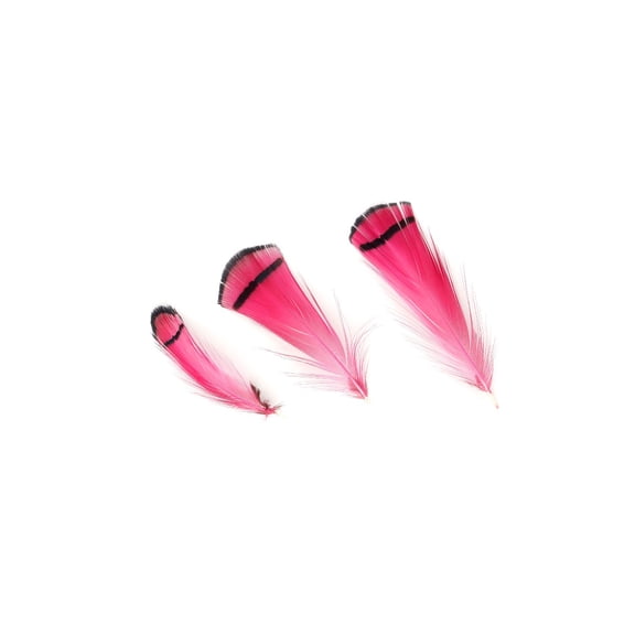 Pheasant Lady Amherst Crest Plumage 1-3.5" - Raspberry Sorbet