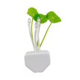thumbnail image 3 of Cute Night Light Sensor Led Night Light Creative Led Color Changing Plug In Led Night Light Bed Saving Light Lamp (Multicolor),Wall Lights, 3 of 7
