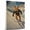 Airedale Terrier, variant on Black Russian Terrier Dog Playing Skiing Stretched Canvas Size 8x12 – Sports Dog, Perfect for Animal Lovers, Black Russian Terrier Dog Canvas, Skiing Canvas Size Wall Art