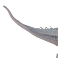 thumbnail image 4 of Dinosaur Model Toy Lifelike Educational Develop Hands On Skills Dinosaur Model Figure for Children Type 1, 4 of 4