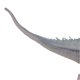 thumbnail image 4 of Dinosaur Model Toy Lifelike Educational Develop Hands On Skills Dinosaur Model Figure for Children Type 1, 4 of 4