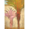 thumbnail image 3 of Scott 14x18 Black Modern Framed Museum Art Print Titled - Tropical Express I, 3 of 5