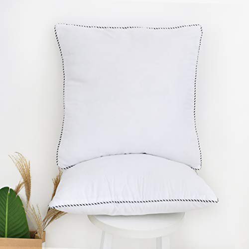 FOOZOUP Pillow Inserts Set of 2 Decorative Throw Pillow Inserts (18" x