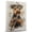 Airedale Terrier, variant on Plott Hound Dog Canvas Clarinet Stretched Canvas Size 8x12 – Funny Plott Hound Dog Canvas Wall Decor, Funny Dog Wall Art for Clarinet Room