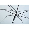 thumbnail image 4 of Transparent Umbrella—pa, 4 of 4