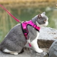 thumbnail image 2 of Mr. Peanut's PurrTrek Reflective Cat Harness with Matching Leash, 2 of 8