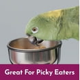 thumbnail image 3 of Kaytee NutriSoft Conure and Parrot Food, 3 of 4