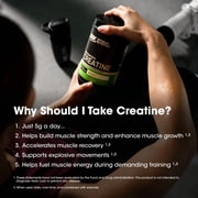 Optimum Nutrition, Micronized Creatine Powder, Unflavored, 60 Servings
