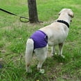 thumbnail image 1 of Couche Lavable pour Chien, Couche Réutilisable pour Chien pour la Période de Chaleur du Toutou, Couche pour Toutou avec Bande Élastique Ajustable pour Chiennes, 1 of 7