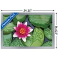 thumbnail image 3 of Zen - Lily Pads Wall Poster, 14.725" x 22.375", Framed, 3 of 3