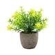 thumbnail image 2 of Yuarrent Árbol de dinero artificial fácil de limpiar en maceta para una decoración del hogar sin esfuerzo verde Decoración aliento de bebé amarillo, 2 of 6