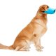 thumbnail image 2 of Bozal de boca de pato antimordida para perros, correa ajustable para mascotas, cubiertas suaves ajus （XL）, 2 of 5