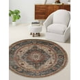 thumbnail image 2 of ECARPET Irina Traditional Area Rug for Living Room, Bedroom, Dining Room, Entrance, Hallway and More., 2 of 9