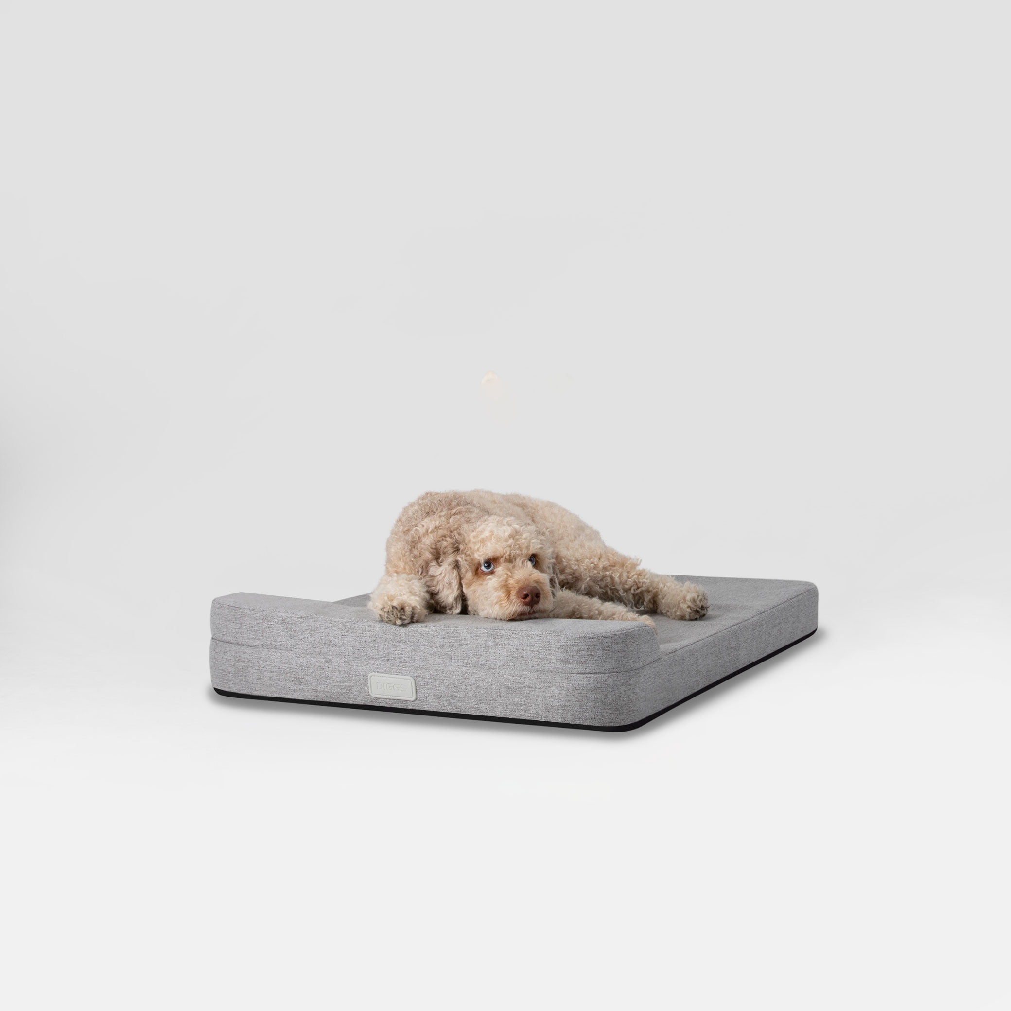 Diggs 36" Bolstr Dog Bed with Headrest - Premium Memory Foam Pet Bed for Crate or Home - Grey
