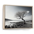 thumbnail image 2 of Designart "Stunning Monochrome Lake Tree" Lake Floater Framed Wall Art Prints, 2 of 5
