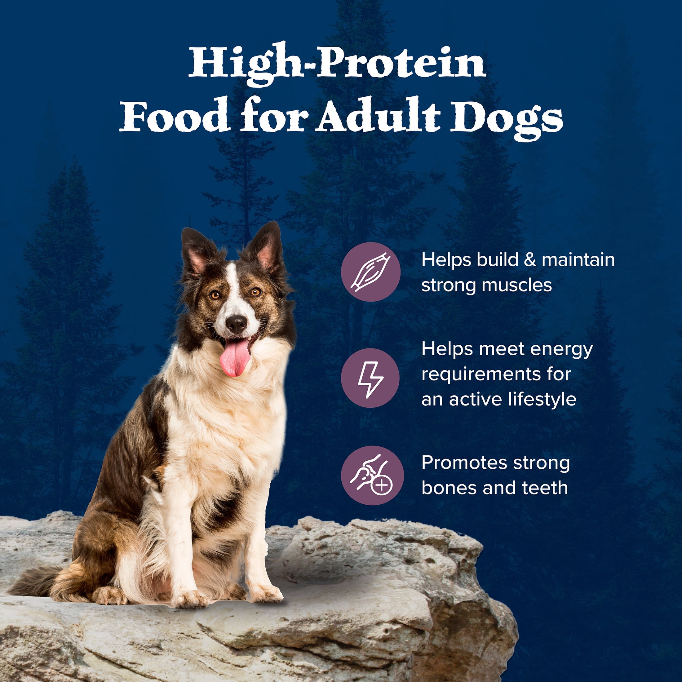 Blue Buffalo Wilderness High-Protein Adult Dry Dog Food, Bison, 22lb Bag