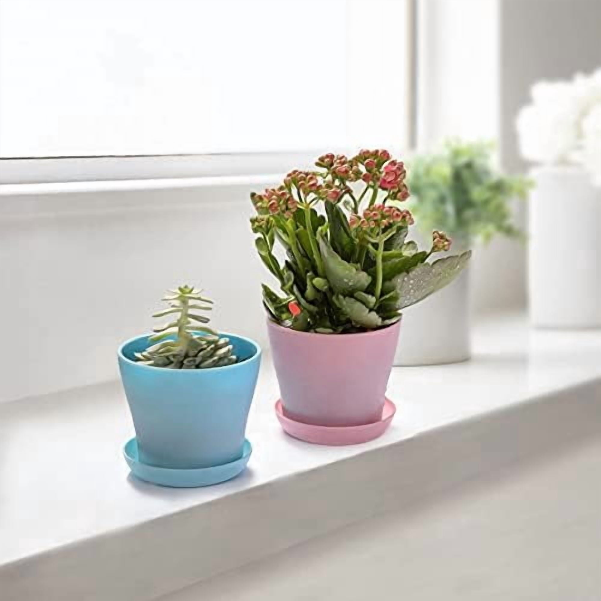 10 Pcs Plastic Planters Indoor Flower Plant Pots, Mini Flower Seedlings Nursery Pot/Planter/Flower Pot with Pallet, Modern Decorative Gardening Containers (Blue)