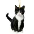 thumbnail image 2 of CoreLiving Realistic Tuxedo Cat Ornament - Lifelike 2D Cat Ornaments for Christmas Tree, Pet Memorial Keepsake Gifts for Cat Lovers, Men and Women, Acrylic Cat Christmas Ornament Decorations, 2 of 9