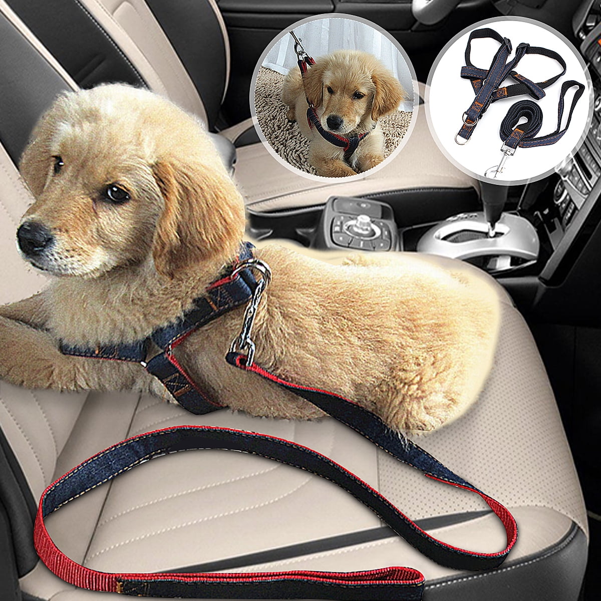 dog car harness walmart