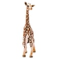 thumbnail image 3 of Colgate Palmolive 210669 Giraffe Calf, Multicolor, 3 of 7
