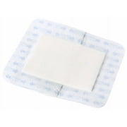 Suresite 123+ Pad Transparent Dressings - MSC2603Z
