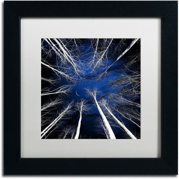 Trademark Fine Art "Renegades" Canvas Art by Philippe Sainte-Laudy White Matte, Black Frame