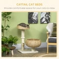thumbnail image 4 of PawHut 28" Cat Tree with Scratching Post Double Beds for Indoor Cats, Beige, 4 of 10