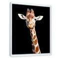 thumbnail image 3 of Designart 'Close Up Portrait Of A Giraffe On Black V' Farmhouse Framed Canvas Wall Art Print, 3 of 5