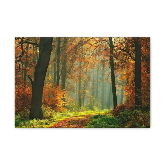 Autumn Tree Trail Forest Nature Wilderness Photography Canvas Wall Art for Home Decor Ready-to-Hang