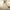 White, variant on IDALL Wedding Guest Dresses,Prom Dresses Women Fashion Floral Lace Wedding Elegant Chiffon Evening Party Dress Ball Gown Maxi Dresses,Formal Dresses,Graduation Dress Blue Dress L
