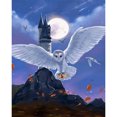 thumbnail image 1 of Bordado de hilo Harry Potter Academy punto de cruz completo 11CT algodón DIY impreso Hugtrwg Para estrenar, 1 of 9
