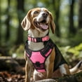 thumbnail image 2 of LAICAIW Reflective Dog Collar,Soft Neoprene Padded Breathable Nylon Pet Collar Adjustable for Medium Dogs,Pink,M, 2 of 7