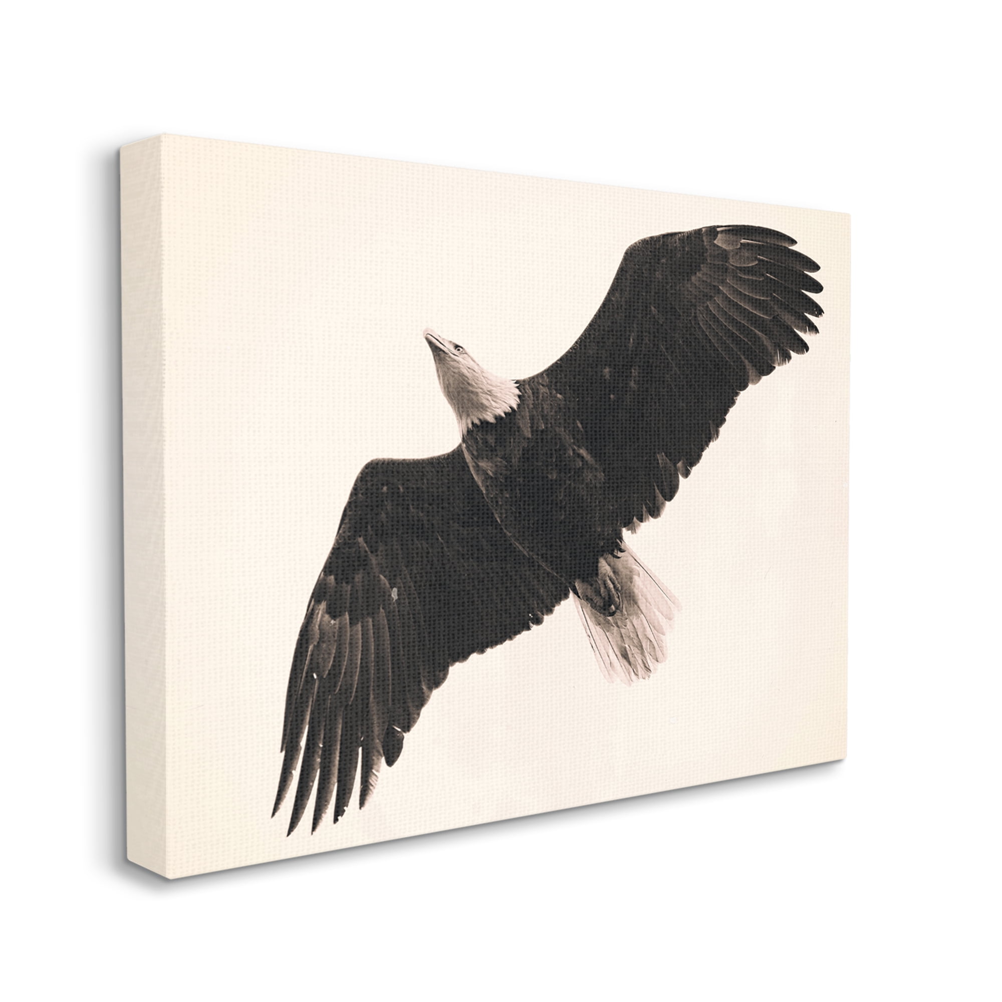 Stupell Industries Eagle Flying Overhead Vintage Bird Sepia Tone Photography, 48 x 36,Design by Nancy Crowell