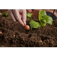 thumbnail image 6 of American Countryside 1CF Compost and Manure, 6 of 9