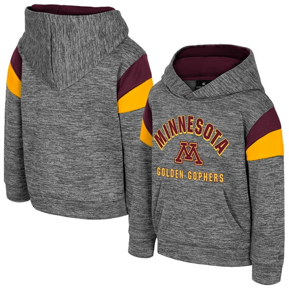 Toddler Colosseum Gray Minnesota Golden Gophers Wizard City Hoodie
