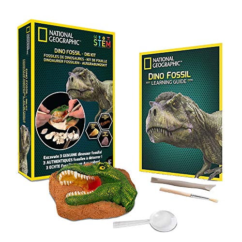 paleontology kit