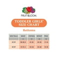 thumbnail image 5 of Fruit of the Loom Toddler Girl Cotton Brief Underwear, 12 Pack, Sizes 2T-5T, 5 of 9