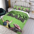 thumbnail image 3 of Dino Dan Conjunto de sábanas temático, trío de piezas, cómodo y amigable con la piel, diseño único, regalo de decoración para el hogar para familiares, amigos y fans, 90 cm * 190 cm, 3 of 6