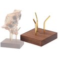 thumbnail image 4 of Soporte de exhibición Wulnut Base cuadrada Coleccionables Estante de Pedestal de latón para joyería Tienda Minerales CUTICAT soporte de bola de cristal, 4 of 8
