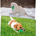 thumbnail image 4 of Pelota masticable para perro ZRIFAQESW, resistente e indestructible, con sonido, 4 of 8